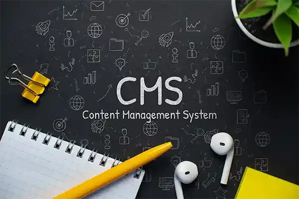 CMS - WordPress-based websites