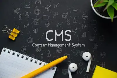 cms - WordPress websites